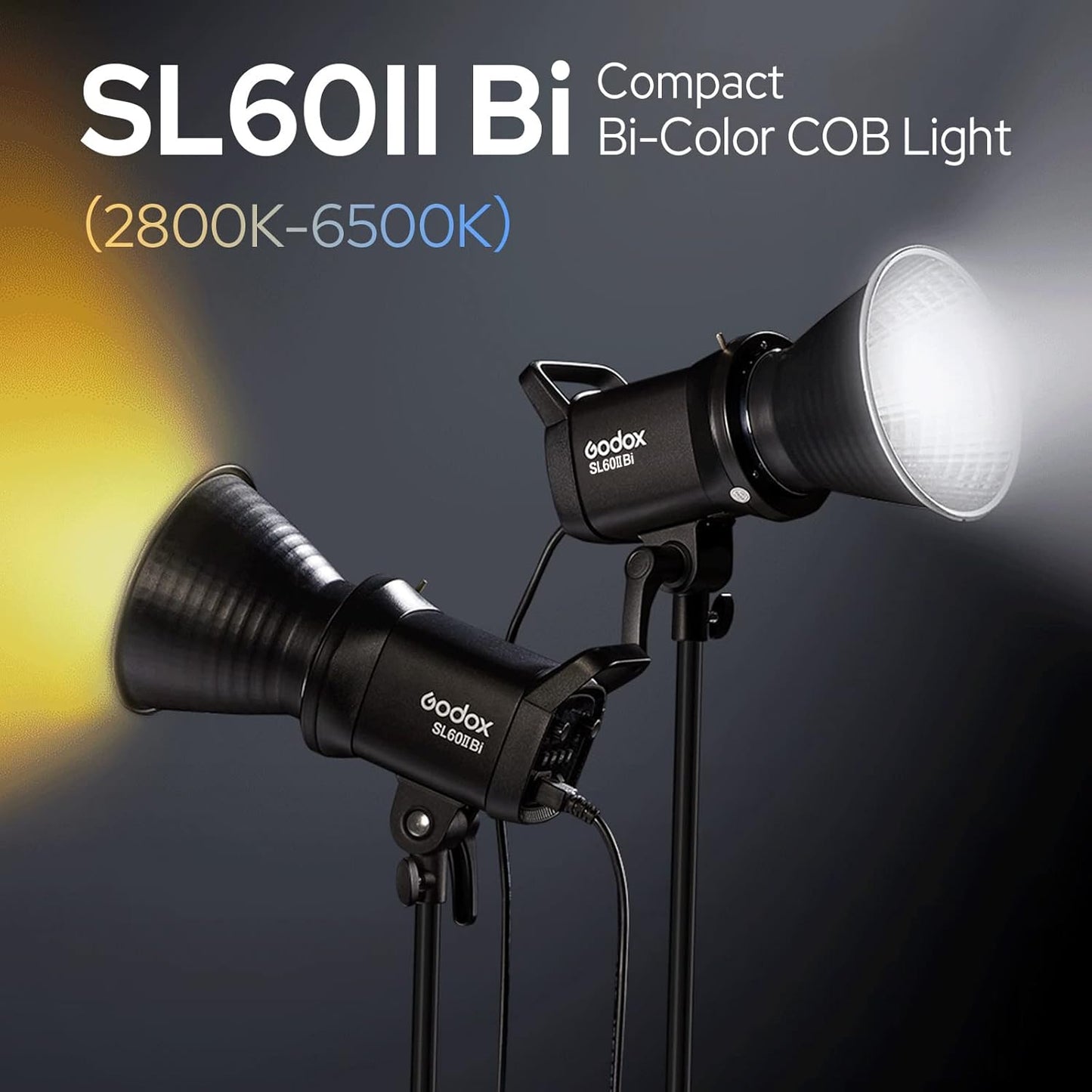 Luz de vídeo LED bicolor Godox SL60IIBi